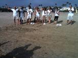 picnic games game shows corporate team building bonding exercises activities