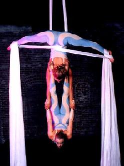 circus performers stilt walkers acrobats contortionists jugglers hand balancing clowns cirque acts aerial artist trapeze acts